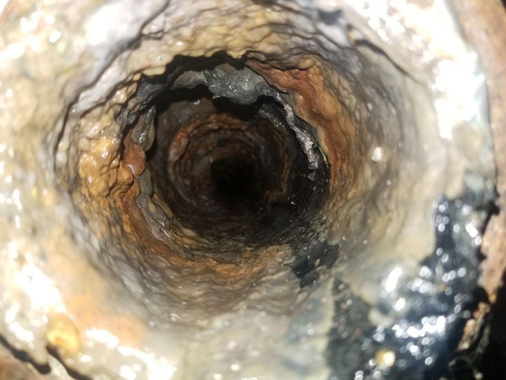 Slide of The Royal Flush Plumbing