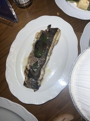 LAVO Los Angeles by null