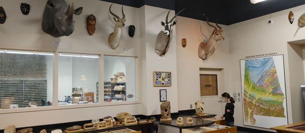 McWane Science Center by null