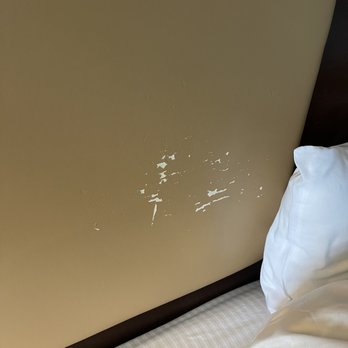 La Quinta by Wyndham Lancaster - This the head board - the place where I'm supposed to put my head to sleep. - Hotels Near Me - Ronks, Pennsylvania La Quinta by Wyndham Lancaster - This the head board - the place where I'm supposed to put my head to sleep. - Hotels Near Me - Ronks, Pennsylvania