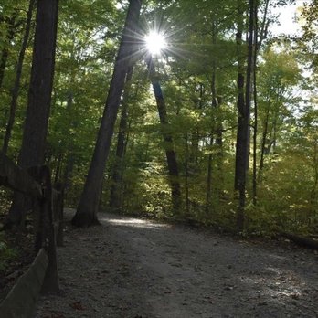 Blendon Woods Metro Park - Parks Near Me - Westerville, Ohio