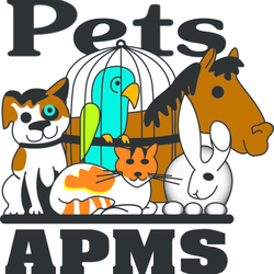 Lasting Paws Pet Memorial Services - Albuquerque Pet Memorial Service