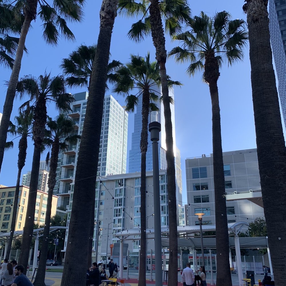 Wokitchen - palm trees in a city park - Food Trucks Near Me - Belmont, California Wokitchen - palm trees in a city park - Food Trucks Near Me - Belmont, California
