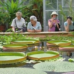 University of Bristol Botanic Garden - From Website
