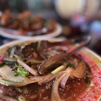 Fortunate Son - scallion stirfry beef $18.99 - Chinese Near Me - San Diego, California Fortunate Son - scallion stirfry beef $18.99 - Chinese Near Me - San Diego, California