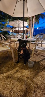 U-Tiki Beach at Jupiter Inlet Marina by null