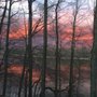 Photo of Thornapple Tree and Arborist Services