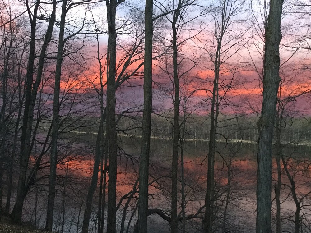 Thornapple Tree and Arborist Services - tree service in Caledonia, MI