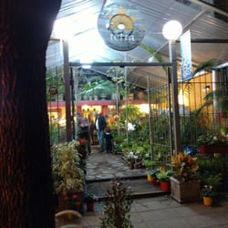 Terra, compañía de plantas