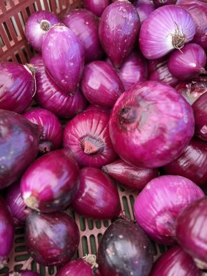Visalia Farmers' Market by null