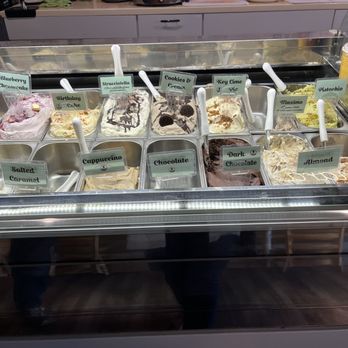 Amara Gelato - So many flavors to choose from! - Gelato Near Me - Midland, Texas