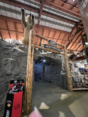 Bass Pro Shops (Formerly Cabela's) by null