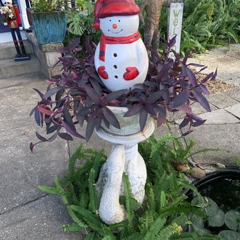Coffee House Realty Cafe - Festive! - Coffee & Tea Near Me - St. Augustine, Florida
