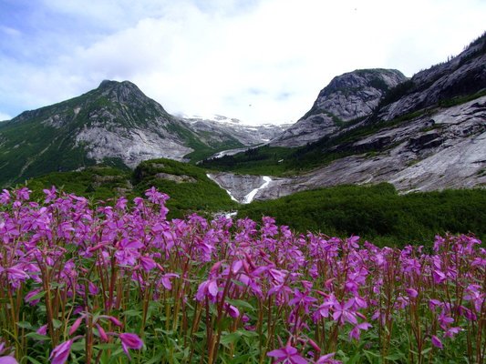 Alaska Peak & Seas by null