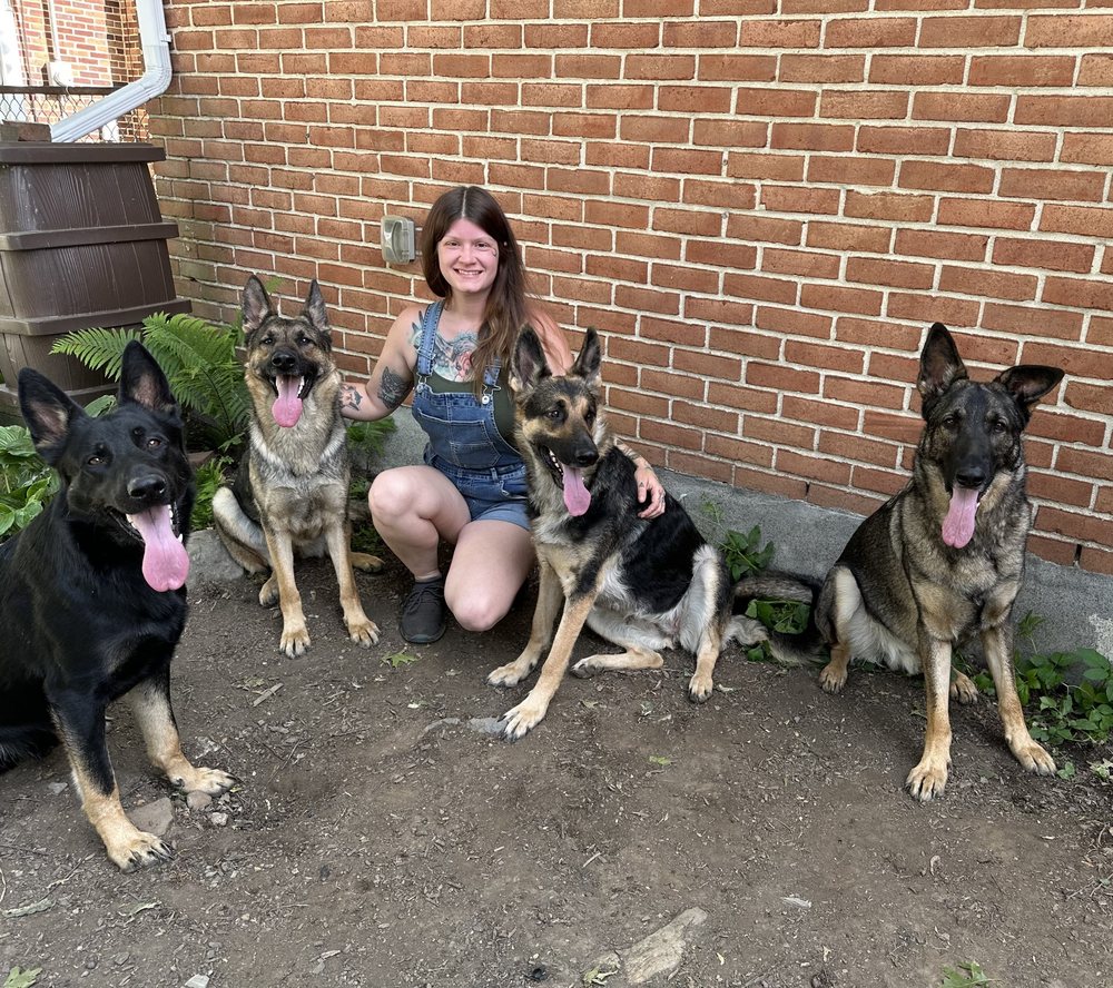 URBAN PET SITTING AND DOG WALKING Updated April 2024 Request a