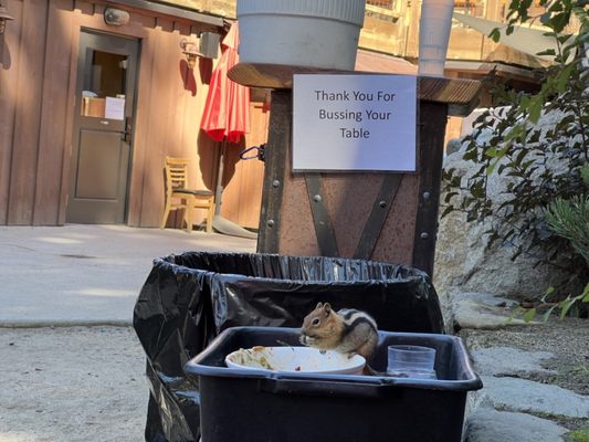 Tunnel Creek Café by null