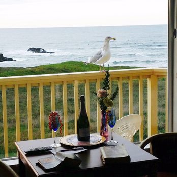 Ocean View Lodge - The view from our room with a surprise bottle of champagne ! (Seagull not included) - Hotels Near Me - Fort Bragg, California Ocean View Lodge - The view from our room with a surprise bottle of champagne ! (Seagull not included) - Hotels Near Me - Fort Bragg, California