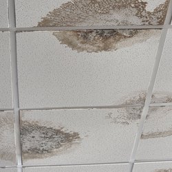 Popeyes Louisiana Kitchen - Water damage