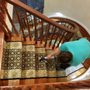 Photo of CIC Carpet & Upholstery Cleaning