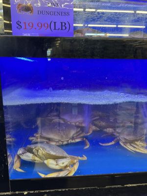 K&S World Market by null