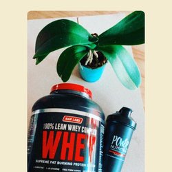 Best protein whey