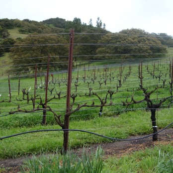 Nicholson Ranch Winery - Wineries Near Me - Sonoma, California Nicholson Ranch Winery - Wineries Near Me - Sonoma, California