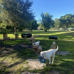 Happy Paws Ranch