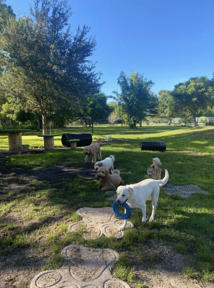 Happy Paws Ranch Image