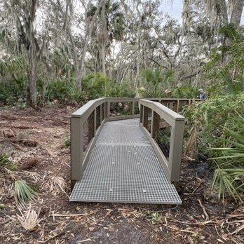 Alafia Scrub Nature Preserve - Hiking Near Me - Riverview, Florida Alafia Scrub Nature Preserve - Hiking Near Me - Riverview, Florida