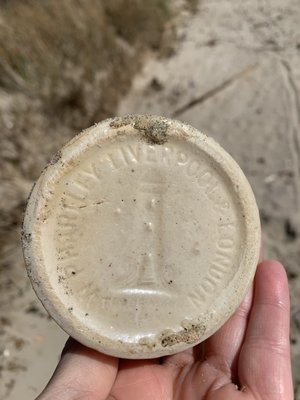 Dead Horse Bay by null