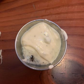 Skagit Brewery - Delivered some sauce with a fly - Brewpubs Near Me - Mount Vernon, Washington Skagit Brewery - Delivered some sauce with a fly - Brewpubs Near Me - Mount Vernon, Washington