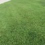Photo of Texas Turf Specialists