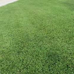 Texas Turf Specialists - Total transformation!  This lawn was riddled with weeds and look at it now!