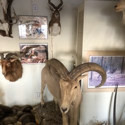 The Wildlife Ranch