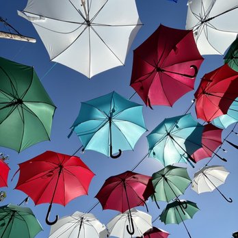 Meadowlark Dairy - They recently put up these beautiful floating umbrellas where people wait in line! Perfect shade on a sunny day :) - Ice Cream & Frozen Yogurt Near Me - Pleasanton, California