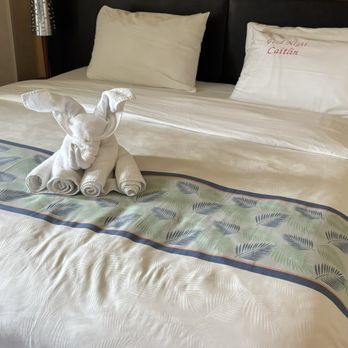 Carnival Cruise Lines - Towel folded into an elephant - Travel Services Near Me - Long Beach, California Carnival Cruise Lines - Towel folded into an elephant - Travel Services Near Me - Long Beach, California