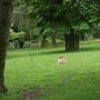 Photo of Hofgarten mit Tiergehege