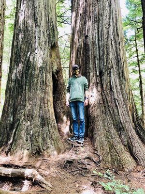 Lady Bird Johnson Grove Trail by null