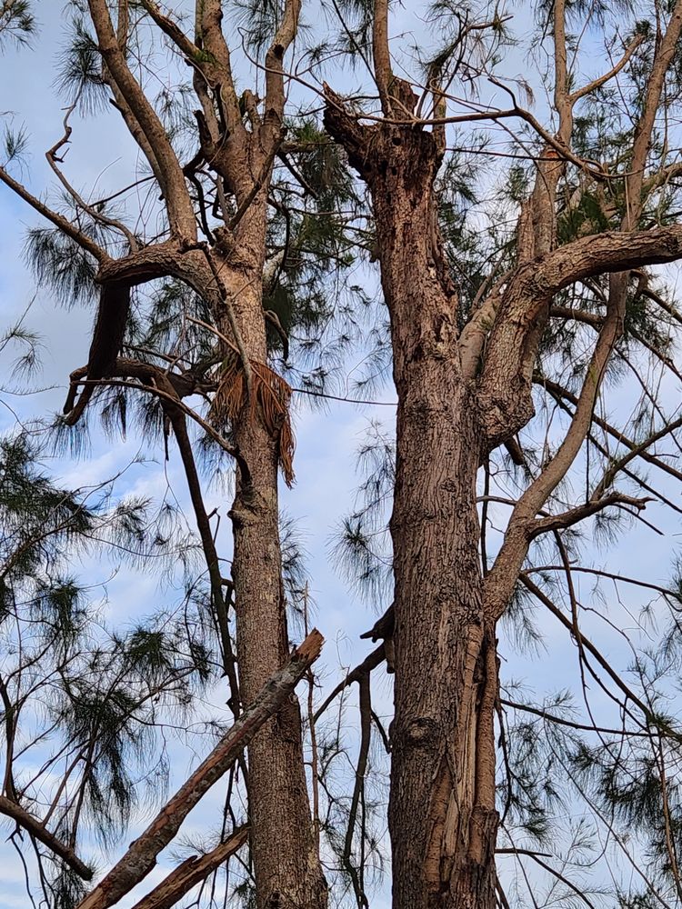 Slide of Greenbelt by Chdo