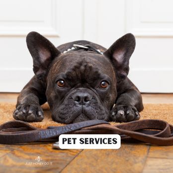 Just Honey Do It - Pet Services in Malibu, CA 90265 - Handyman Near Me Just Honey Do It - Pet Services in Malibu, CA 90265 - Handyman Near Me