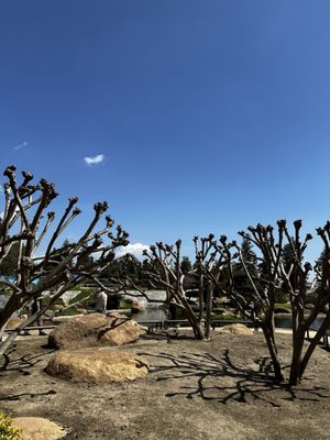 SuihoEn - The Japanese Garden by null