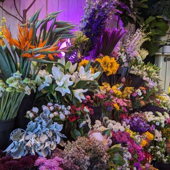 Steve's Flower Market - Wonderful selection of flowers - Florists Near Me - Chicago, Illinois