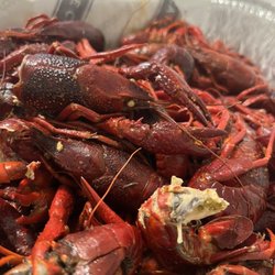 The Catch - Spoiled crawfish!