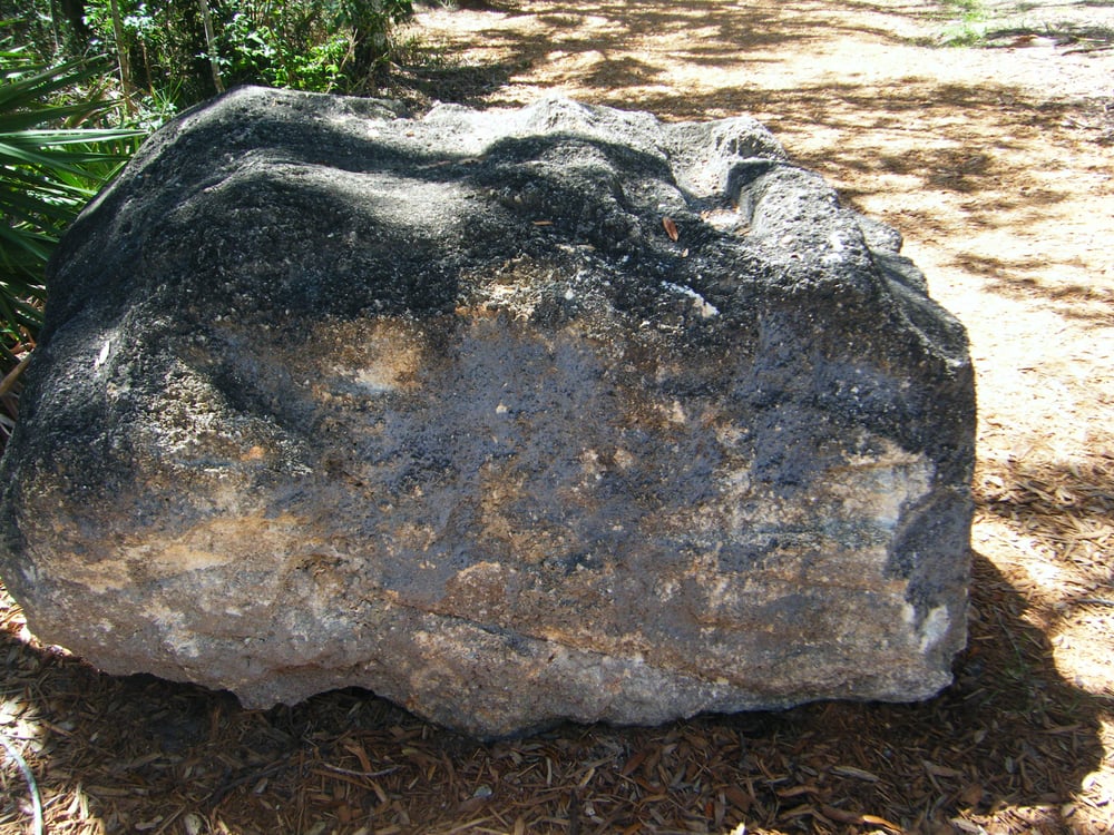 Sanchez Park Image