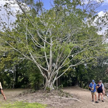 Costa Maya Tucan Tours - Tours Near Me - Mahahual, ROO