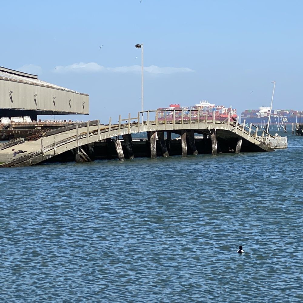 Heron's Head Park - Sunken pier - Parks Near Me Heron's Head Park - Sunken pier - Parks Near Me