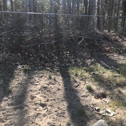 Landscape Supply of Muskegon - Leaves and branches I was told would be removed.