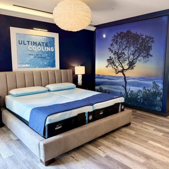 1. Tempur-Pedic Flagship Store - Troy