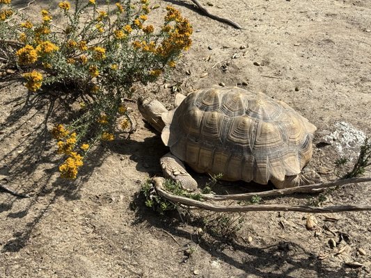 Agua Hedionda Lagoon Foundation (Discovery Center) by null