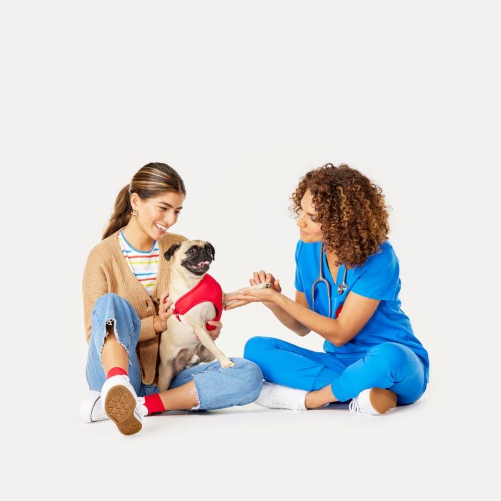 PETSMART VETERINARY SERVICES COMING SOON Updated April 2024 1261